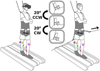 Complexity-Based Analysis of the Variations of Brain and Muscle Reactions in Walking and Standing Balance While Receiving Different Perturbations